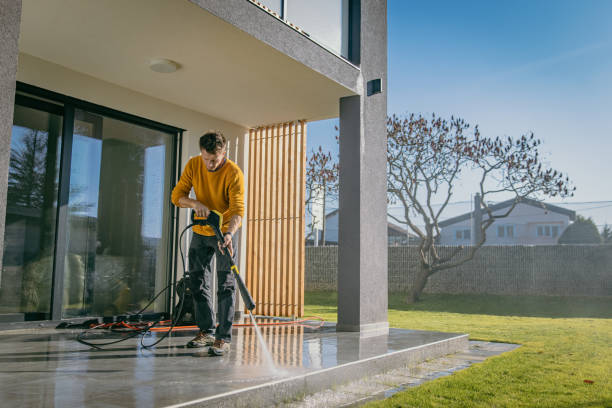 Best Gutter Cleaning  in Birngham, MI